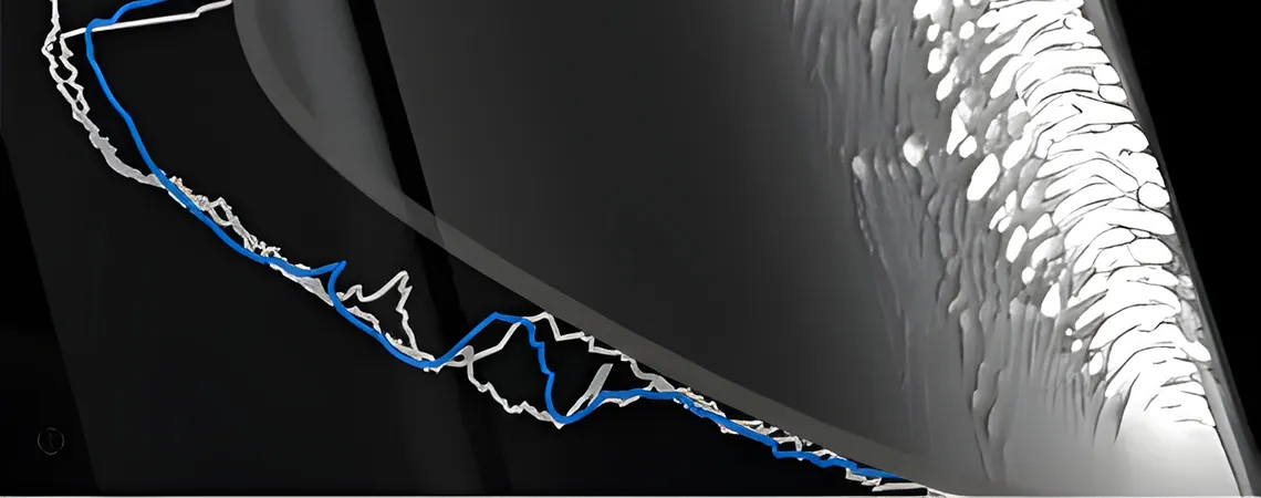 ansys-fensap-ice-figure